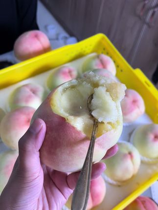 无锡阳山水蜜桃 可脆🉑软,屏幕前的你喜欢脆桃还是软桃?#阳山水蜜桃