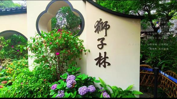 狮林小景,花影摇曳,静享一方清幽。
#狮子林 #城市绿洲