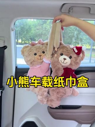 超可爱的车载纸巾盒,快入手吧!#纸巾盒 #车上收纳 #可爱到爆炸💥 #车载纸巾盒 #好物推荐