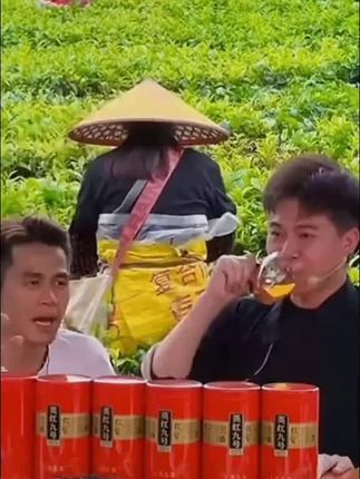 99到手六罐英红九号#抖音荐片官 #好物推荐🔥 #英红九号