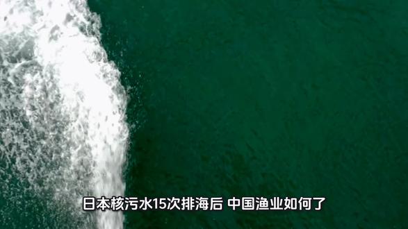 日本核污水15次排海后,中国渔业如何了
晨风茶室
2025年10月04日 09:22 北京
日本核污水排海已经进行了15轮。
据报道,日本第15轮核污染水排海于2025年9月14日开始,9月29日结束,排放了7800吨,主累计排放核污染水11.7万吨。
日本核污水11次排海后,对中国渔业产生了多方面的影响,具体如下:
- 渔业资源方面:核污水排放后,海洋环境受到污染,渔业资源可能会受到严重影响。一些鱼类可能会因为生存环境恶化而迁移到其他海域或者大量死亡,导致中国沿海的渔业捕捞量下降。
- 水产品质量与安全方面:核污水中含有大量放射性物质,如氚、碳-14、钌-106等,这些物质易被海洋生物吸收,并在鱼类、贝类等水产品中累积,使海产品的安全性受到质疑。
- 渔业经济方面:从短期来看,部分消费者对海产品的消费欲望下降,会通过价格信号传导至加工、捕捞养殖环节,对产业规模产生一定的负面冲击;但也有部分消费者会增加当期对尚未受核污染海产品的消费,促进产业规模增长。从中长期来看,当核污染抵达我国沿海后,消费需求开始下降,海产品出现滞销,加工需求下降,从而导致捕捞及养殖产量下降,海洋渔业可能出现全产业链性增速下滑、产量减少等下行态势。
- 渔业从业者方面:渔业市场的萎缩将直接影响渔民的收入,导致生计受到威胁。同时,渔业相关产业如加工、运输、销售等也可能受到冲击,从业人员的就业和收入都将受到不同程度的影响。
很多消费者已经不再买海产品,中国渔业受到巨大冲击,很多渔民的产业毁于一旦。日本核污水排海,成为中国渔业永久的灾难。