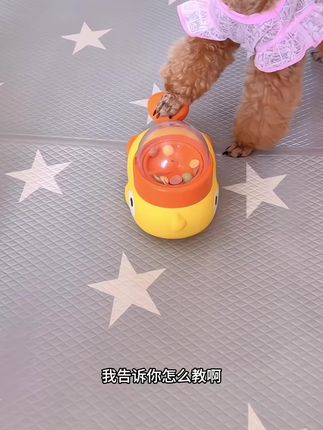 宠物益智狗狗玩具脚踏漏食小黄鸭自动投食喂食奖励机#宠物#宠物用品推荐 #宠物知识小课堂 #宠物成精啦 #宠物用品