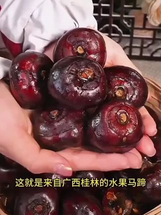 #马蹄荸荠 #水果 #水果推荐
