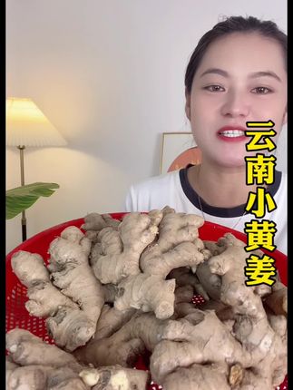 云南高山小黄姜,都是现挖现发的,特别的新鲜 #小黄姜 #农产品 #云南小黄姜