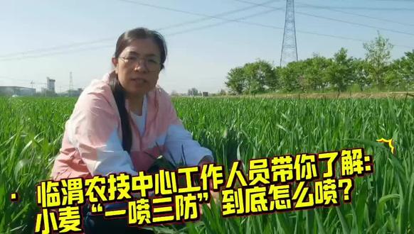 一喷三防解答