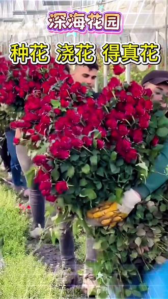 真的太治愈了!动动小手就能养花,轻松解锁百种鲜花! #深海花园