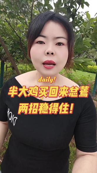 半大鸡买回来总养不活?#养鸡人 #散养土鸡 #脱温鸡 #新手养鸡 #感谢抖音我要上热门