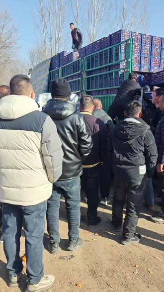 8点开称,十二点一挂卖完,就问你们服不服怕不怕。