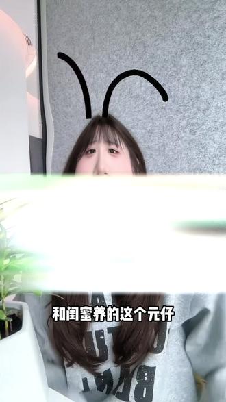 闺蜜组队养元仔,快乐加倍!#元仔 #双人养宠