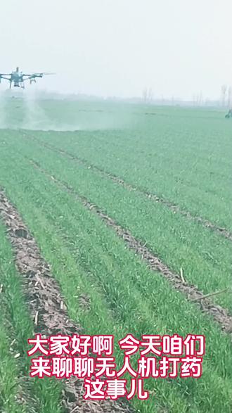 小小无人机打药……效果到底如何!#抖音二创激励计划 #三农 #无人机打药 #无人机