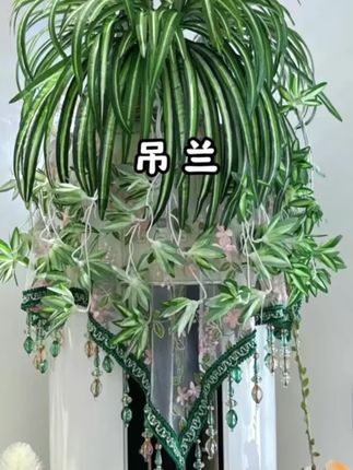 空调客厅仿真吊兰 免打理绿植 四季常青 抗晒 高档大气装饰 🌿 产品亮点 • 仿真吊兰造型 叶片垂坠自然 • 耐晒不褪色 • 送编织篮提升温馨感 #仿真吊兰 #客厅装饰 #空调摆件 #新款高档大气客厅绿植推荐 #仿真绿植