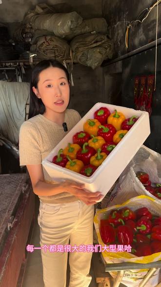 低卡低糖低热量的水果彩椒,姐妹们夏天到了赶快吃起来了#优质彩椒#彩椒上市#水果甜椒#山东寿光生吃不辣的辣椒
