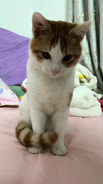 还好还好那天早上还是去看你了
想你