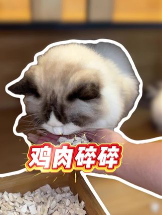 别划走!看看这款毛孩子的长肉神器! #俏客萌鸡肉冻干#宠物零食#冻干鸡肉#鸡肉碎冻干#俏客萌