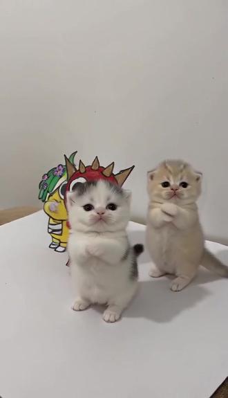 节奏盒子,一起比比谁画的好看吧