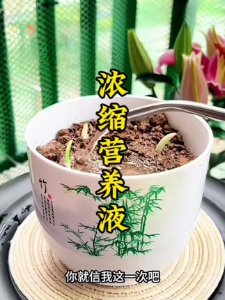 喜欢养花的友友千万不要错过这款 #浓缩营养液 ,养花友友别划走!这款浓缩营养液真心绝,花盆里浇上一点,黄叶秒变油亮绿叶,枯枝悄悄长粗壮,花开得一茬接一茬停不下来。家里的绿萝、月季、多肉…所有花卉绿植都能用,轻松拿捏 花盆只要浇上一点它,就让你家的花儿黄叶变绿叶, 枯枝变粗壮,花开一茬又一茬,家里所有花卉绿植都能用#养花小知识 #种植小技巧#花卉绿植 #养花小知识