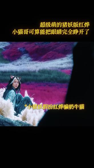 萌得没边了这个小猫哥
#逍遥 #侯明昊 #侯明昊红烨