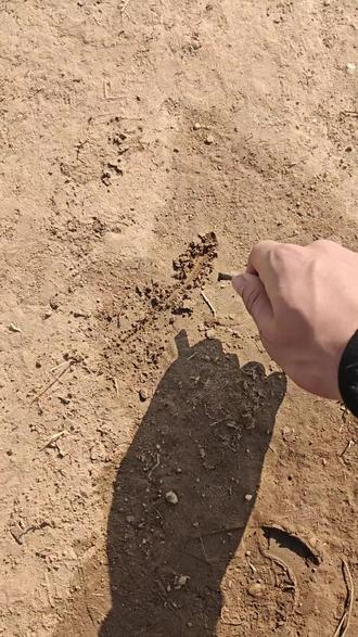 撒泡尿,写个字。#剑来