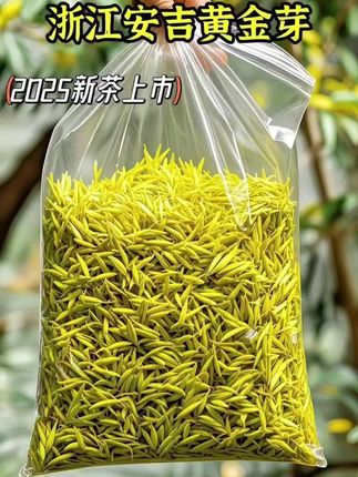 2025明前安吉黄金芽,中国地理标志产品 #口感非常好 #浓香四溢 #安吉黄金芽 #独特风味