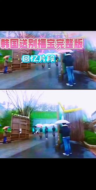 福宝2024年4月3日回来了全过程😭😭😭