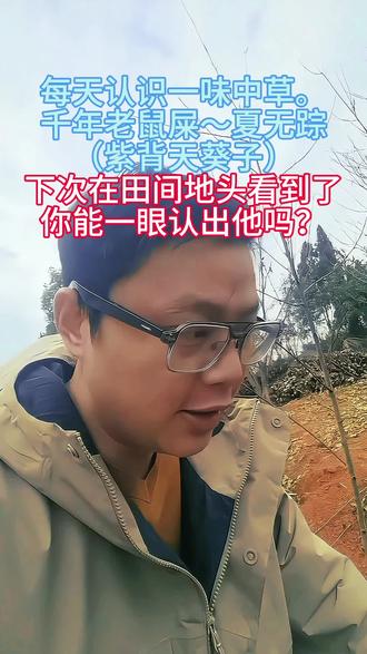 有些东西需要传承、像我们这一代的人,很少有人对草药感兴趣了。大部分人都不认识草药,个人因机缘巧合下,认识到草药的好处,所以有空就去山上拍一些常见的中草,让更多的人去认识了解它。#山中无杂草认识都是宝 #每天认识一种植物