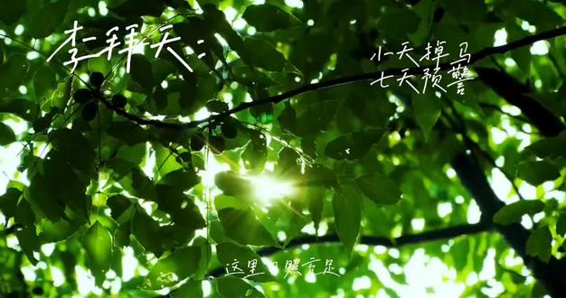 你在心疼吗,小七? 七天预警#李拜天的非正常日常 #李拜天 #李小七 #七天