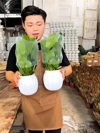 #爱生活爱养花 #花卉绿植 #植物 #净化空气 #好看的花一定要分享给你