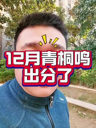 12月青桐鸣联考分数线