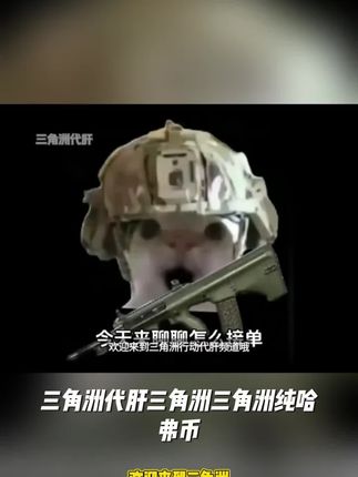 【1000w=70r纯】三角洲代肝三角洲三角洲纯哈夫币