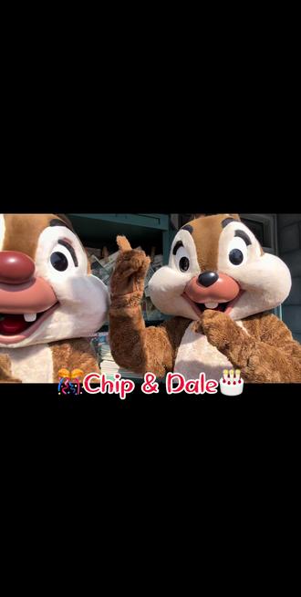 #奇奇蒂蒂#上海迪士尼#祝你拥有神奇的一天
奇大宝:80+,我老当益壮!
蒂小宝:论卖萌,我永远no.1~
黑粉头子:生日快乐🎁🎈🎊🎂~