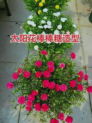 #李羲承 #李義承让粉丝闭眼 #李義承符神颜 #李義承的无限魅力