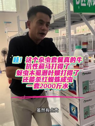 这个杂虫套餐真的好,杀虫广谱,还能打红蜘蛛成虫