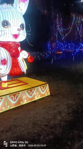 桃河十公里桃河北岸东段逛花灯!(九)