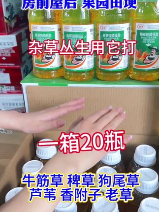 精草铵膦铵盐#果园茶园田埂荒地#专除香附子芦苇草水花生#除草小妙招#三农#心系三农服务三农