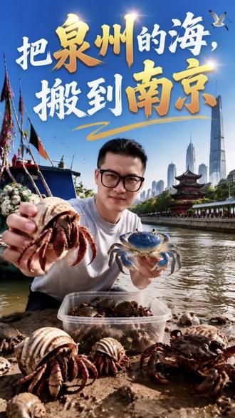 把泉州的海搬到南京,记录一个沙滩鱼缸的设计制作过程。#赶海 #寄居蟹#和尚蟹