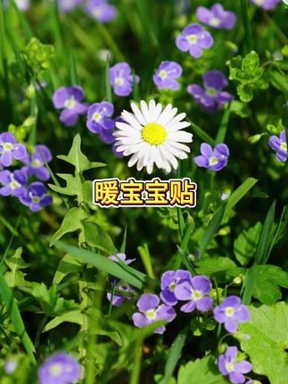 慕庭暖贴防寒暖宝宝贴腰腹贴保暖热敷暖身贴#防寒暖宝宝贴 #腰腹保暖贴 #热敷暖身贴 #慕庭暖身贴