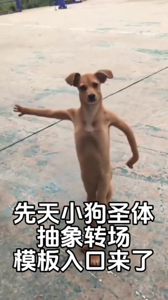 今天教大家做一个抽象的小狗圣体转场#剪映 #你是什么先天圣体 #先天小狗圣体转场小狗 #先天小狗圣体特效变狗 #先天圣体特效入口 小狗视频剪辑教程 先天小狗圣体转场小狗剪辑模板 先天小狗圣体转场小狗模板 先天小狗圣体转场小狗剪同款 小狗打拳原视频 先天小狗圣体转场小狗特效 先天小狗圣体转场小狗原视频 先天小狗圣体转场小狗怎么拍 先天小狗圣体转场变狗 先天小狗圣体转场小狗 你是什么先天圣体 先天圣体特效入口你是什么先天圣体转场怎么做 你是什么先天圣体特效小雨 先天小狗圣体特效怎么刷出来 常小雨小狗圣体特效 先天圣体转场特效怎么拍 你是什么先天圣体小狗特效 你是什么先天圣体怎么抽到小狗 你是什么先天圣体转场怎么做 你是什么先天圣体