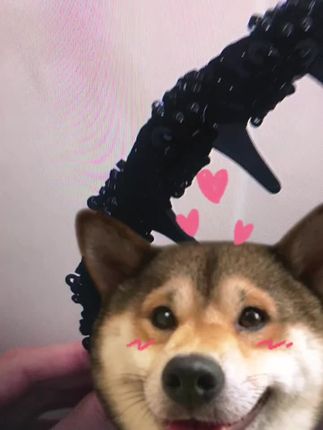 #发箍