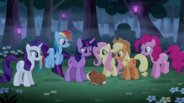 #小马宝莉 范浩宇是猪妞@f.