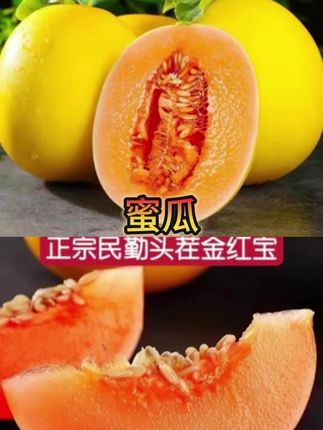民勤蜜瓜,果王发货,脆甜多汁#蜜瓜#新鲜采摘 #应季水果#甘肃民勤蜜瓜 #应季水果