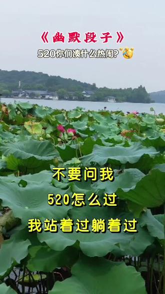 别问我520怎么过,一个人过,看别人过,一笑而过,闭门思过,请问你们怎么过?#幽默段子 #荷塘美景 #荷花盛开为你而来