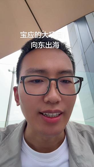 宝应的大项目,向东出海!金湖的朋友们,盱眙的朋友们知道吗?