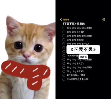 Bling Bling 在干嘛#meme猫表情包 #不灵不灵 #想你