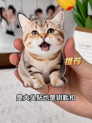 情侣钥匙扣定制亚克力挂件小礼品钥匙链照片打印#强烈推荐 #好物推荐🔥 #萌宠推荐官 #礼物推荐