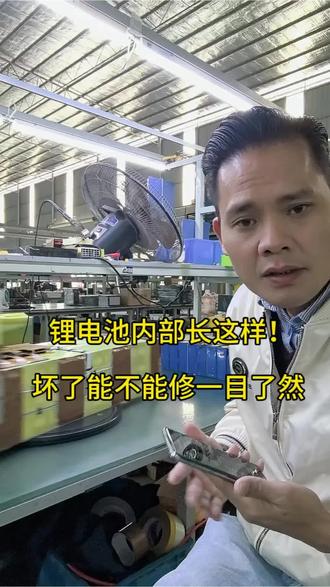 锂电池内部长这样!坏了能不能修一目了然#锂电池维修 #锂电池拆解 #驻车锂电池 #锂电池知识 #新能源维修