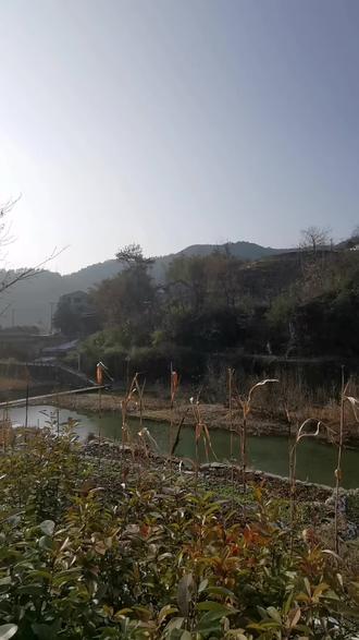 诗友八句诗,写出春天的最高境界:不写热闹写安静,静到能听见“春天正在孵化”。致敬@虞书欣
「一首诗的诞生」—— 献给所有在喧嚣中寻觅宁静的人。
本期,沉浸式诵读并赏析诗友 @虞书欣 笔下的春日村景。
它不写万紫千红,写万物共生的默契:人与河“洽”,鸡鸣与野“处”,山水与村“静”,最终,所有安静汇聚成一股暖风,将春天“孵”了出来。
你有多久,没感受过这种“安静的生机”了?
关注我,以‘溪谷拥山舍,菜园圈犬鸡’为起句创作的诗。下一期,被诵读和解读的,可能就是你的作品。
#田园全诗创作 #粉丝原创诗词 #普通人的诗作 #传统文化 #田园诗