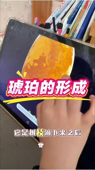 不得不说,我太爱这个动画片了,科普性很有趣味,关键孩子看一遍就基本能给复述出一部分知识,多看两遍你会发现简直惊呆了!#动画片#斑马百科#科普#益智动画