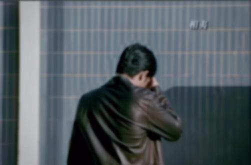 你始终不懂这份情 也许是我甘愿为你爱屋及乌