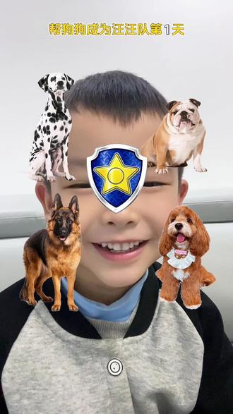 #儿童动画 #亲子互动 给汪汪队们分配徽章变身#儿童益智 #益智游戏#汪汪队