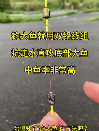 钓大鱼就用双铅大跑铅,更灵敏而且中鱼率高!#钓鱼人#钓鱼#双铅钓法@DOU+小助手 @抖音创作小助手 @抖音小助手